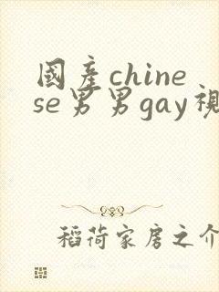 国产chinese男男gay视频