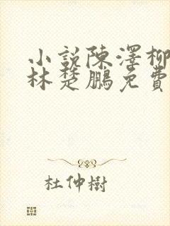 小说陈泽柳如烟林楚鹏免费阅读