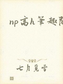 np高h笔趣阁