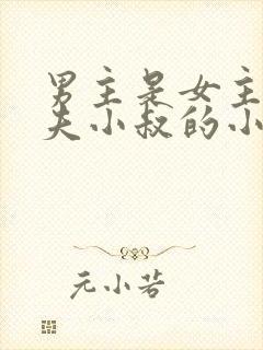 男主是女主未婚夫小叔的小说