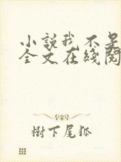 小说我不是戏神全文在线阅读