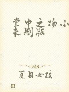 掌中之物小说 未删版