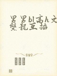 男男bl高h文双龙互插