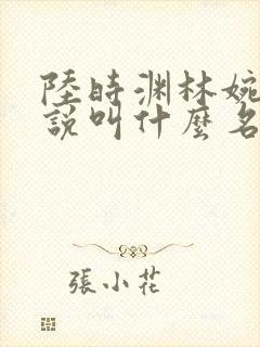陆时渊林婉婷小说叫什么名字