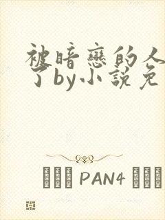 被暗恋的人俘虏了by小说免费阅读