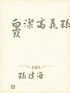 白洁高义孙倩苏霞