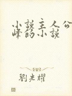 小说主人公叫林峰的小说