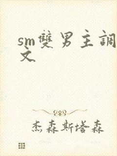 sm双男主调教文