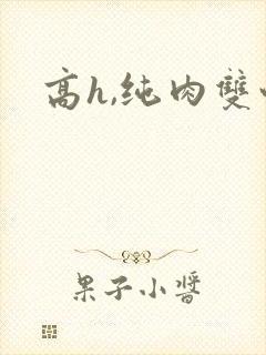高h,纯肉双性