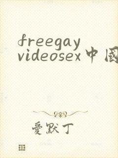 freegayvideosex中国男男封面
