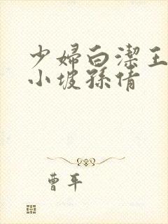 少妇白洁王申高小坡孙倩