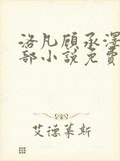洛凡顾承泽第四部小说免费