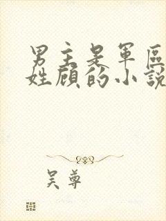 男主是军区首长姓顾的小说