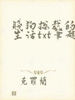 贱狗总裁的日常生活txt笔趣阁小说封面