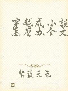 穿越成小说反派怎么办全文阅读