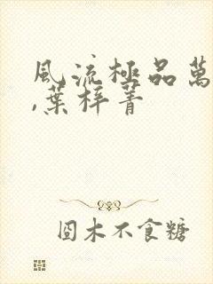 风流极品万岁爷,叶梓菁