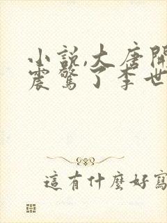 小说,大唐开局震惊了李世民封面