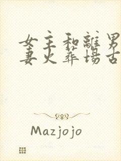 女主和离男主追妻火葬场古言