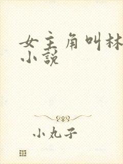 女主角叫林夏的小说封面