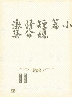 激情短篇小说合集公媳