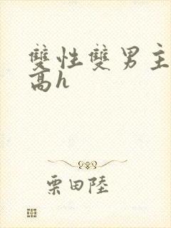 双性双男主小说高h封面