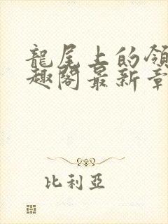 龙尾上的领主笔趣阁最新章节列表封面