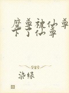 魔尊被仙尊骗生下了仙尊