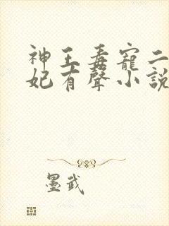 神王毒宠二嫁王妃有声小说