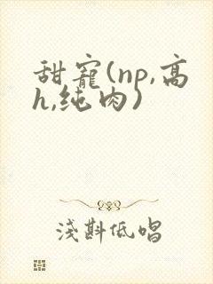 甜宠(np,高h,纯肉)封面