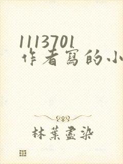 1113701作者写的小说