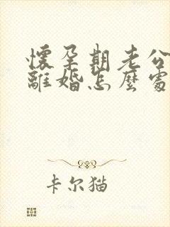 怀孕期老公出轨离婚怎么处理