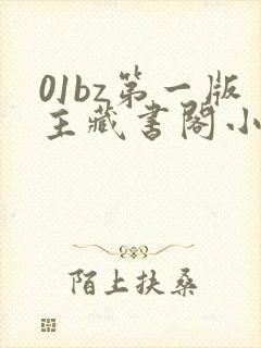 01bz第一版主藏书阁小说网封面