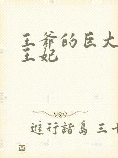 王爷的巨大进入王妃