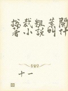 书籍封面