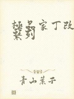 极品家丁改编全系列