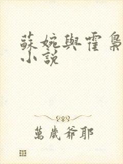 苏婉与霍枭寒的小说