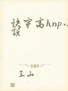 快穿高hnp小说封面
