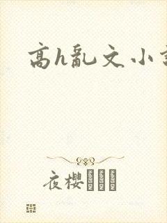 高h乱文小说