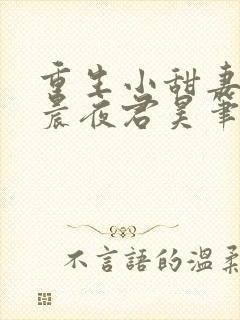 重生小甜妻慕初晨夜君昊笔趣阁封面