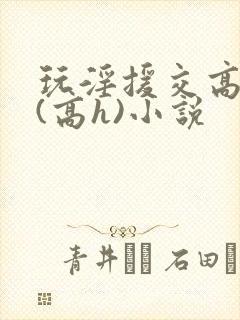 玩淫援交高中生(高h)小说封面