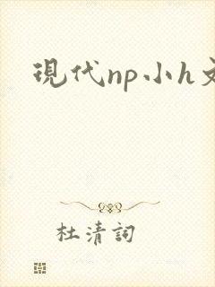 现代np小h文