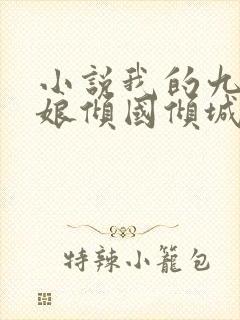 小说我的九个师娘倾国倾城免费