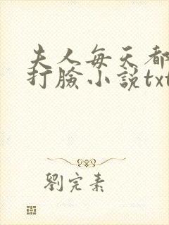 夫人每天都在线打脸小说txt精校版