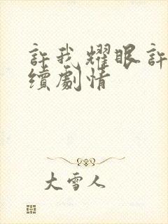 许我耀眼许妍后续剧情