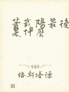 萧武阳最后结局是什么