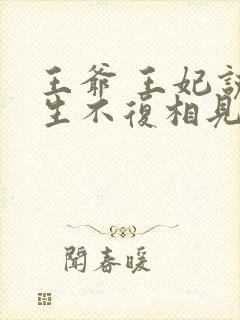 王爷 王妃说此生不复相见封面