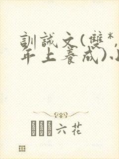 训诫文(双*,年上养成)小说