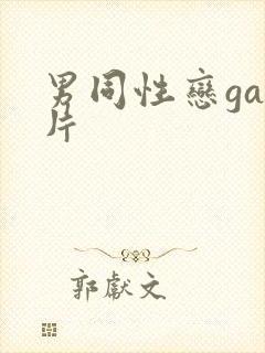 男同性恋gay片