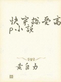 快穿总受高hnp小说