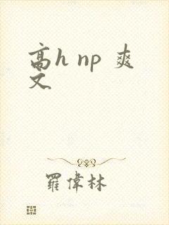 高h np 爽文